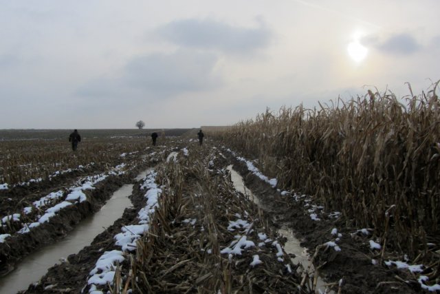 Szlaban Kozie 13.11.2016